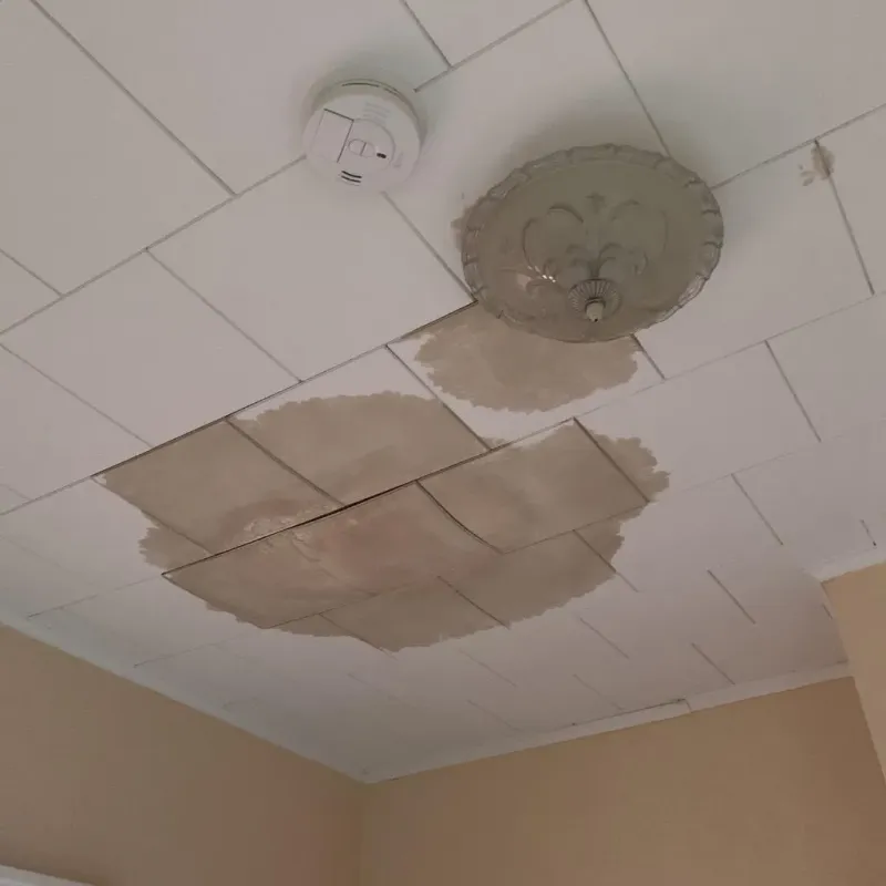 Ceiling Water Damage Repair in Bay City, MI