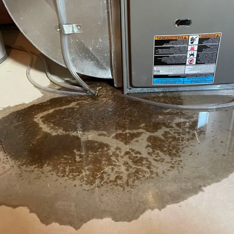 Pipe Burst and Leak Restoration in Bay City, MI