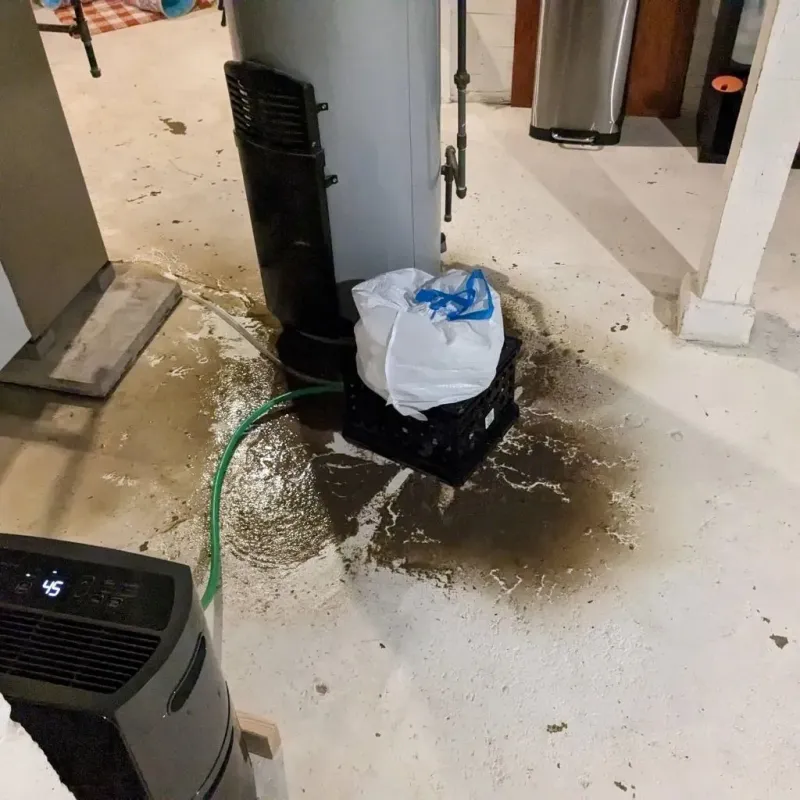 Sewage Backup Cleanup Service in Bay City, MI